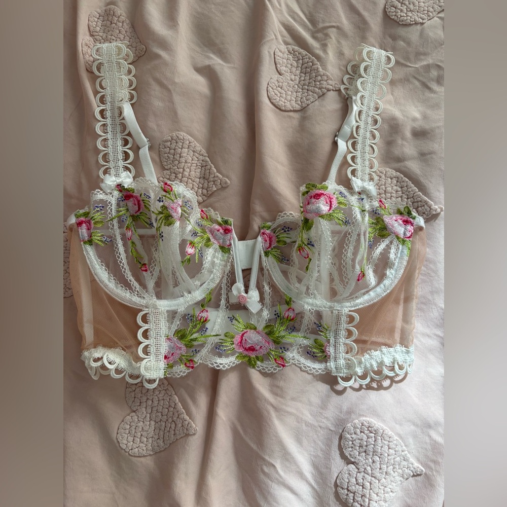 For Love And Lemons Pink and Green Lace Bustier